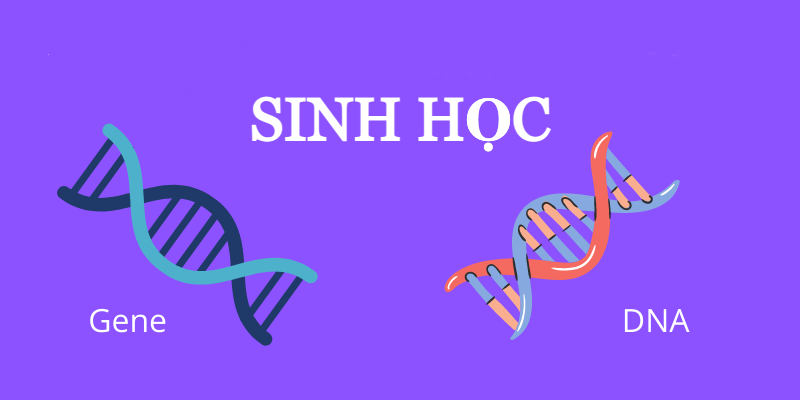 Thi thử trắc nghiệm online môn Sinh Học - Đề luyện thi THPT Quốc gia năm 2021 - Mã đề 08