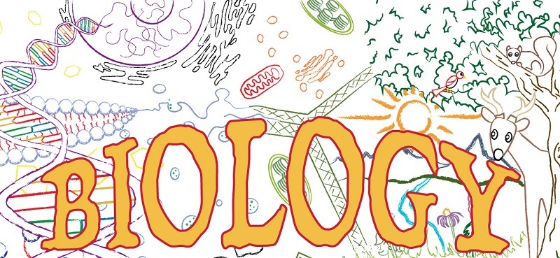 Đề thi thử trắc nghiệm online học kỳ 1 môn Sinh Học - Lớp 12