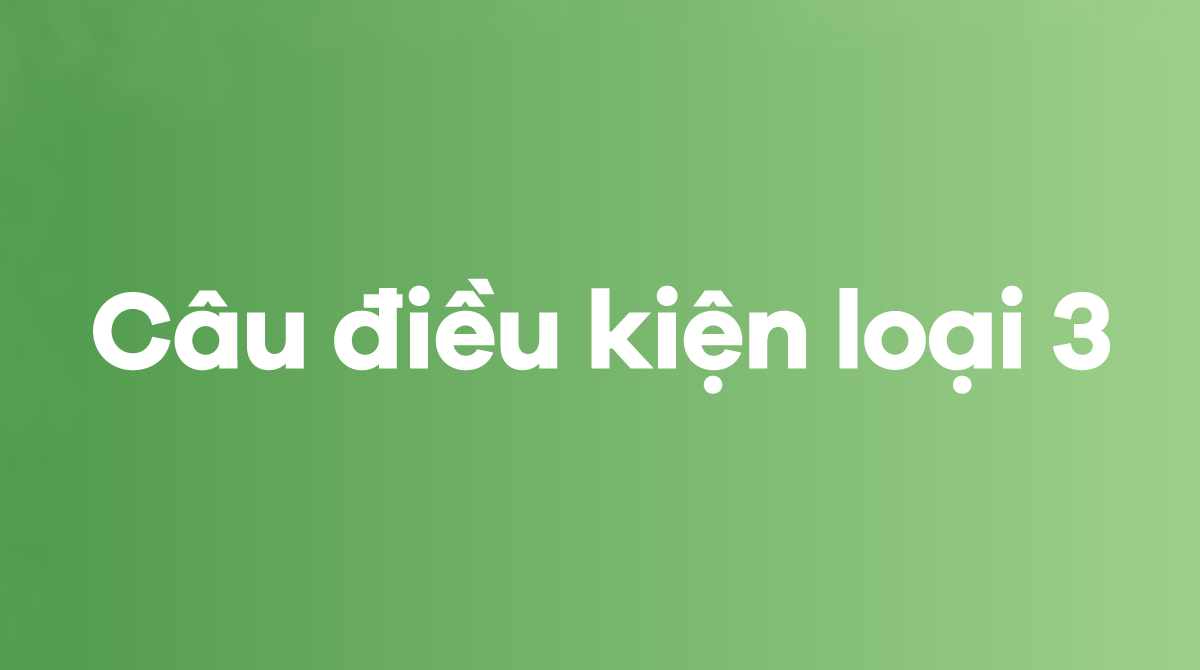 Bài tập trắc nghiệm câu điều  kiện loại 3