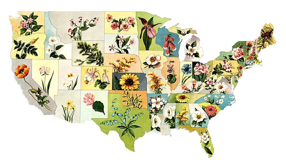 Thi thử tốt nghiệp THPT quốc gia môn Địa Lý online - Đề thi của trường THPT Chuyên Vĩnh Phúc năm 2023 lần 1