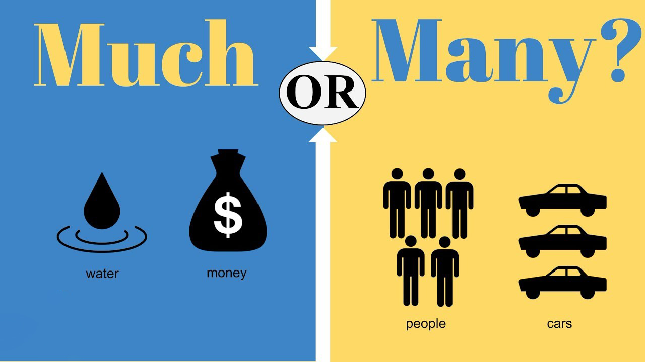 Bài tập trắc nghiệm phân biệt 'much' và 'many'