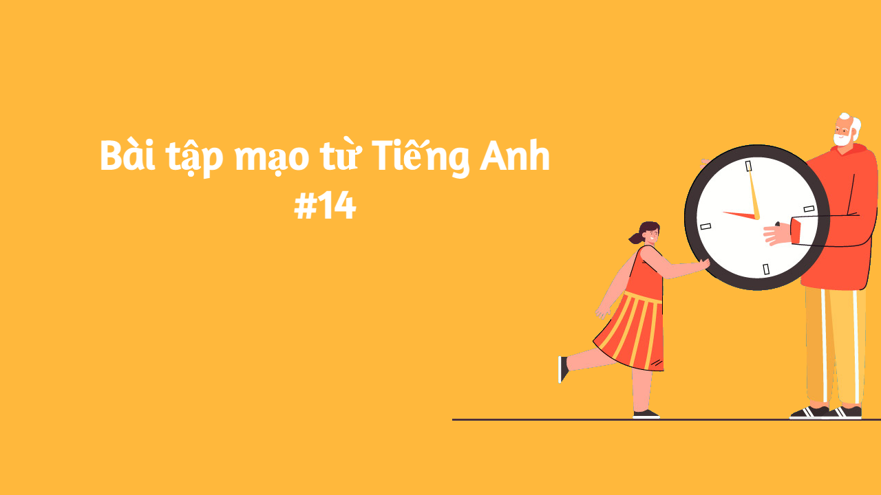 Bài tập mạo từ Tiếng Anh #14