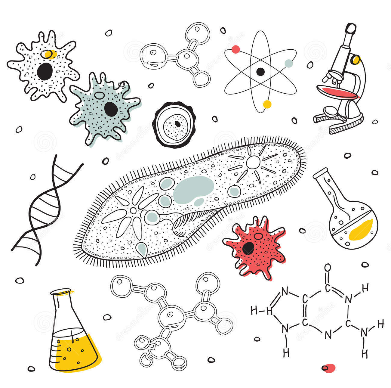Thi thử trắc nghiệm online môn Sinh Học - Đề luyện thi THPT Quốc gia năm 2021 - Mã đề 02