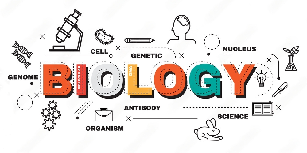 Thi thử trắc nghiệm online môn Sinh Học - Đề minh họa tốt nghiệp THPT 2022