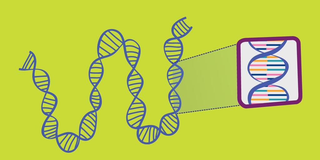 Thi thử trắc nghiệm online môn Sinh Học - Đề luyện thi THPT Quốc gia năm 2021 - Mã đề 07